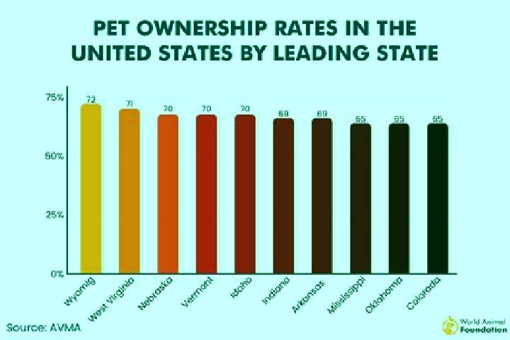 10 escort profiles in Anamosa, United States. Browse companions, services, rates and book online. Incall and outcall available.