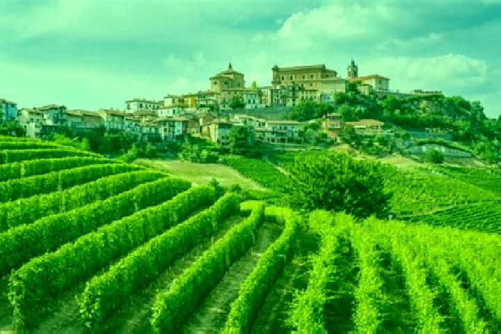 10 escort profiles in Belvedere Langhe, Italy. Browse companions, services, rates and book online. Incall and outcall available.