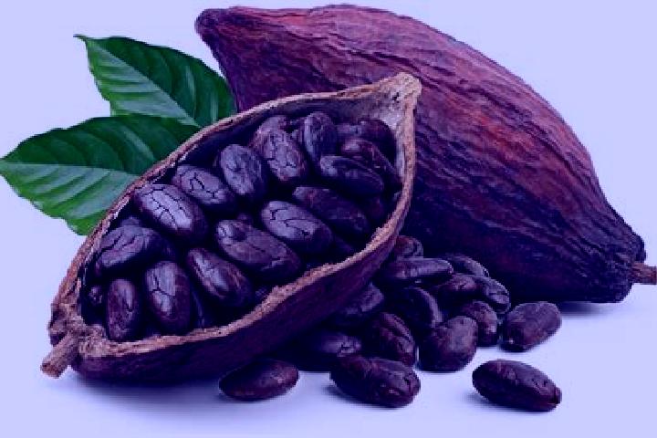 10 escort profiles in Cacao, Mexico. Browse companions, services, rates and book online. Incall and outcall available.