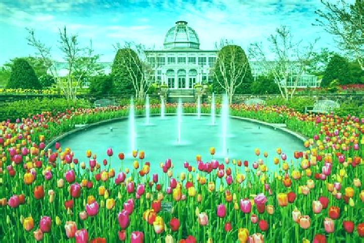 10 escort profiles in Central Gardens, United States. Browse companions, services, rates and book online. Incall and outcall available.