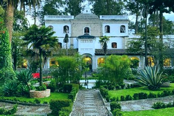 10 escort profiles in Cienega Grande, Mexico. Browse companions, services, rates and book online. Incall and outcall available.