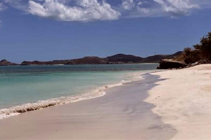 10 escort profiles in Codrington, Antigua and Barbuda. Browse companions, services, rates and book online. Incall and outcall available.