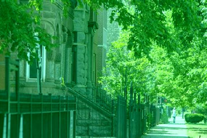 10 escort profiles in East Garfield Park, United States. Browse companions, services, rates and book online. Incall and outcall available.