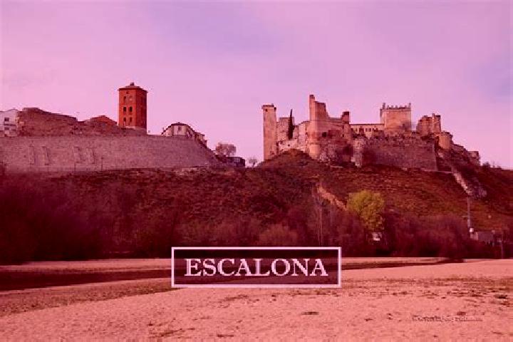10 escort profiles in El Casar de Escalona, Spain. Browse companions, services, rates and book online. Incall and outcall available.