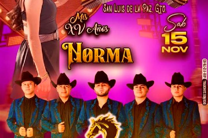 10 escort profiles in El Toreador de Abajo, Mexico. Browse companions, services, rates and book online. Incall and outcall available.