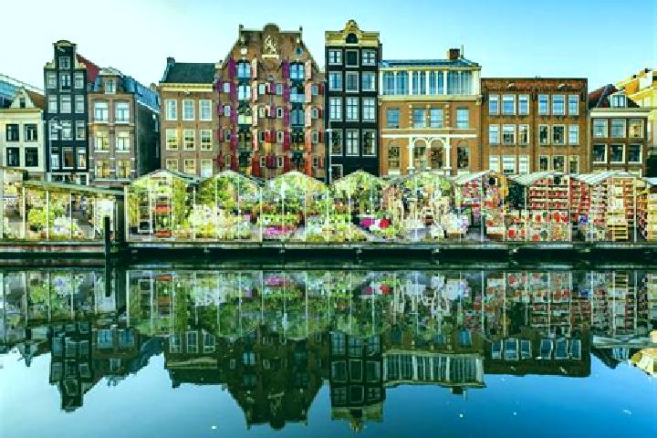 10 escort profiles in Gracht, Netherlands. Browse companions, services, rates and book online. Incall and outcall available.