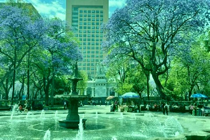 10 escort profiles in Jacarandas, Mexico. Browse companions, services, rates and book online. Incall and outcall available.