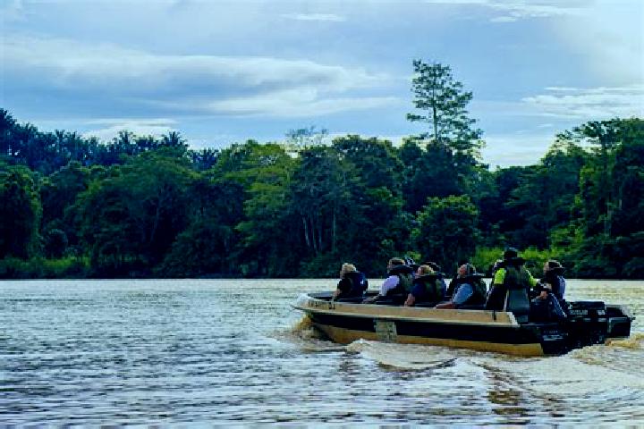 10 escort profiles in Kinabatangan, Malaysia. Browse companions, services, rates and book online. Incall and outcall available.