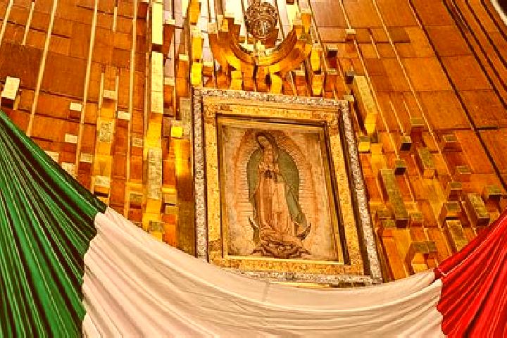10 escort profiles in Mesa de Guadalupe, Mexico. Browse companions, services, rates and book online. Incall and outcall available.