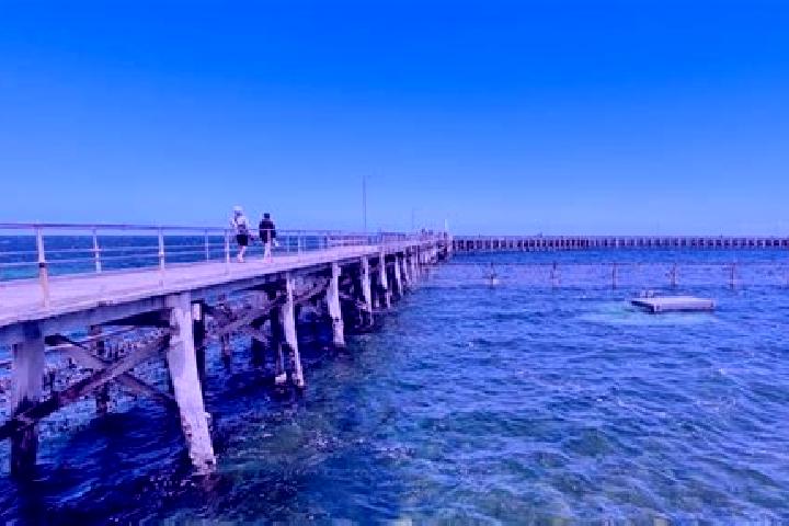 10 escort profiles in Moonta Bay, Australia. Browse companions, services, rates and book online. Incall and outcall available.