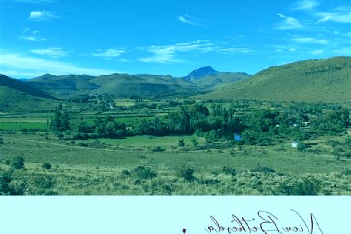 10 escort profiles in Nieu-Bethesda, South Africa. Browse companions, services, rates and book online. Incall and outcall available.