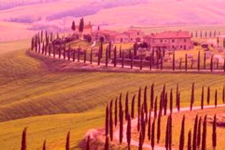 10 escort profiles in Palagiano, Italy. Browse companions, services, rates and book online. Incall and outcall available.