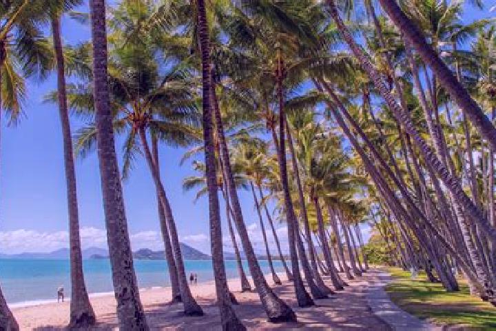 10 escort profiles in Palm Cove, Australia. Browse companions, services, rates and book online. Incall and outcall available.