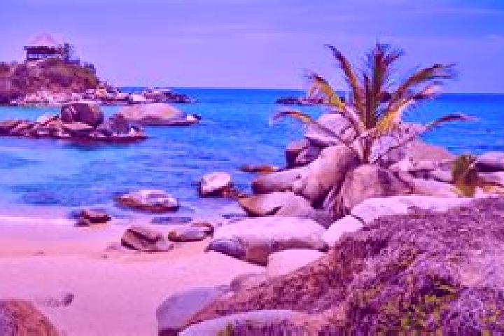10 escort profiles in Pitalito, Colombia. Browse companions, services, rates and book online. Incall and outcall available.