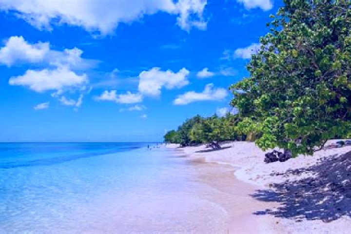 10 escort profiles in Pointe-a-Pitre, Guadeloupe. Browse companions, services, rates and book online. Incall and outcall available.
