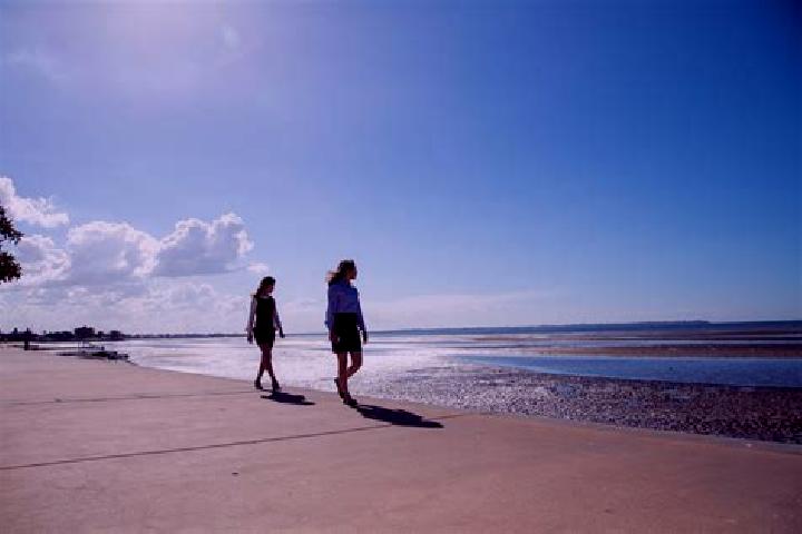 10 escort profiles in Sandgate, Australia. Browse companions, services, rates and book online. Incall and outcall available.