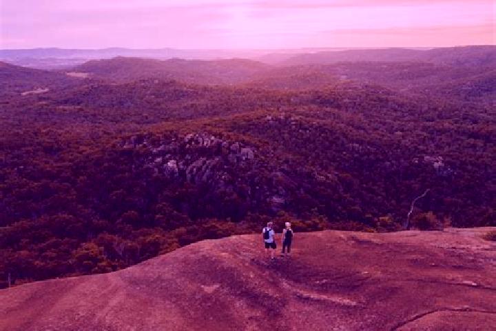 10 escort profiles in Springsure, Australia. Browse companions, services, rates and book online. Incall and outcall available.