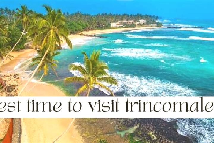 10 escort profiles in Trincomalee, Sri Lanka. Browse companions, services, rates and book online. Incall and outcall available.