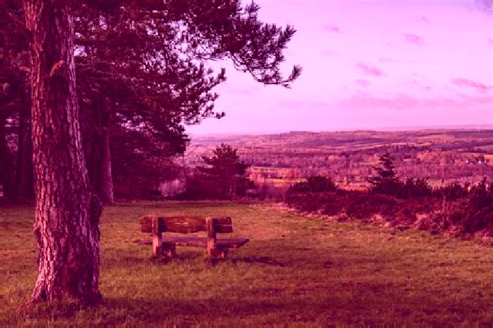 10 escort profiles in Upper Hartfield, United Kingdom. Browse companions, services, rates and book online. Incall and outcall available.