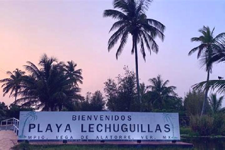 10 escort profiles in Vega de Alatorre, Mexico. Browse companions, services, rates and book online. Incall and outcall available.