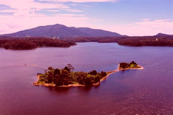 10 escort profiles in Wallaga Lake, Australia. Browse companions, services, rates and book online. Incall and outcall available.