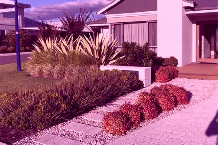 10 escort profiles in White Gum Valley, Australia. Browse companions, services, rates and book online. Incall and outcall available.