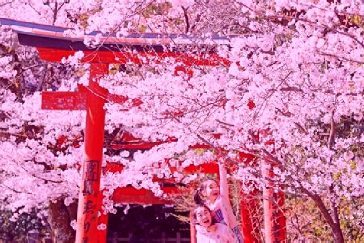 10 escort profiles in Yoshino, Japan. Browse companions, services, rates and book online. Incall and outcall available.