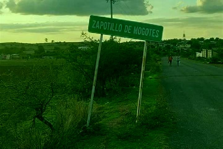 10 escort profiles in Zapotillo de Mogotes, Mexico. Browse companions, services, rates and book online. Incall and outcall available.