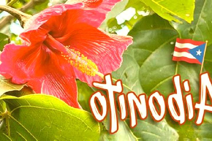 11 escort profiles in Aibonito, Puerto Rico. Browse companions, services, rates and book online. Incall and outcall available.