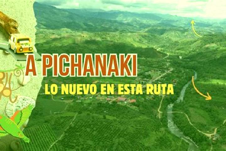 11 escort profiles in Bajo Pichanaqui, Peru. Browse companions, services, rates and book online. Incall and outcall available.