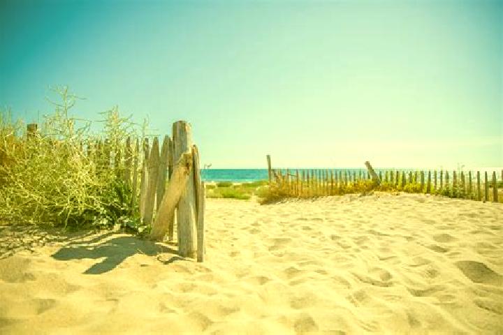 11 escort profiles in Beauvoir-sur-Mer, France. Browse companions, services, rates and book online. Incall and outcall available.
