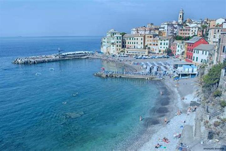 11 escort profiles in Bogliasco, Italy. Browse companions, services, rates and book online. Incall and outcall available.