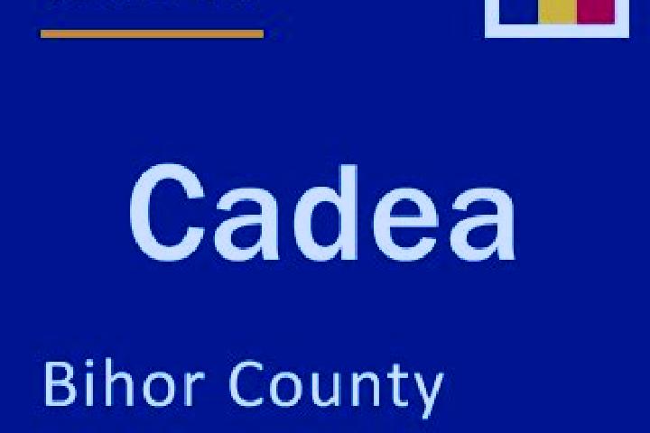 11 escort profiles in Cadea, Romania. Browse companions, services, rates and book online. Incall and outcall available.