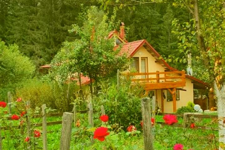 11 escort profiles in Campu lui Neag, Romania. Browse companions, services, rates and book online. Incall and outcall available.