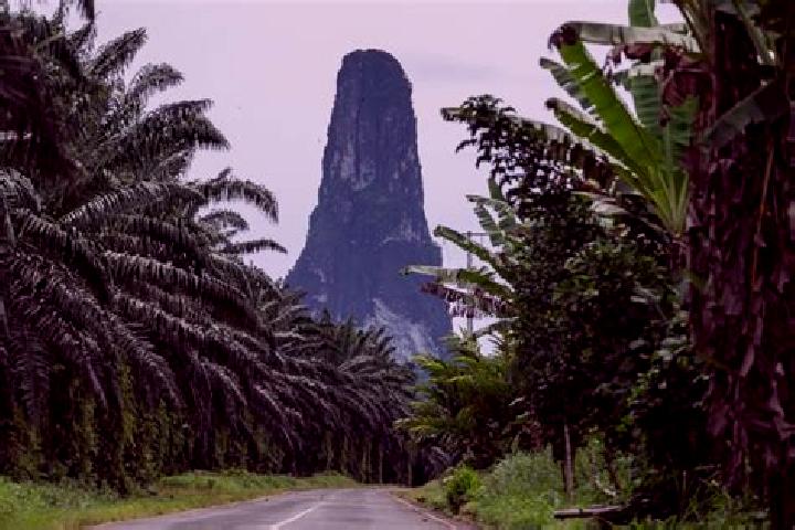11 escort profiles in Capela, Sao Tome and Principe. Browse companions, services, rates and book online. Incall and outcall available.
