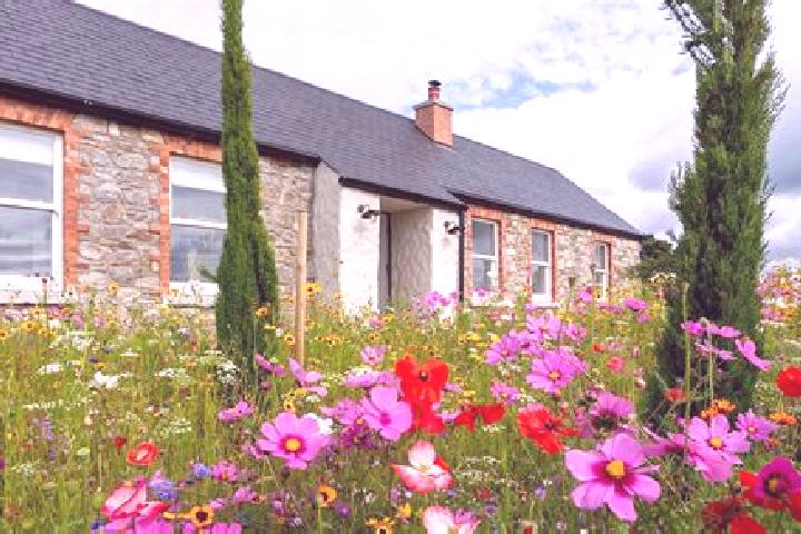 11 escort profiles in Carlanstown, Ireland. Browse companions, services, rates and book online. Incall and outcall available.