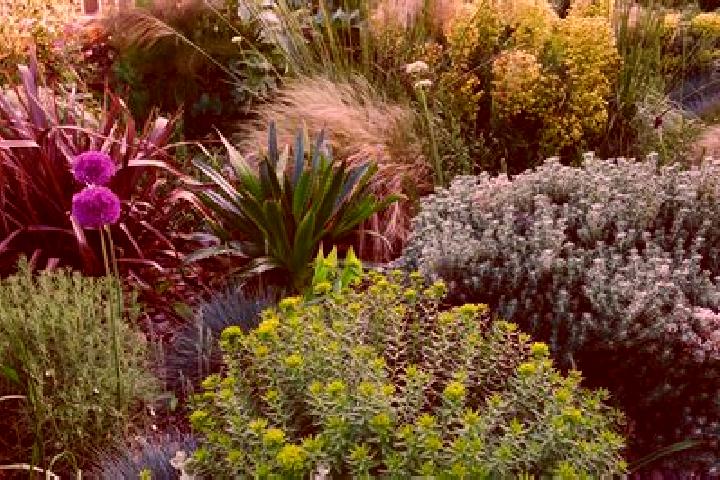 11 escort profiles in Colonel Light Gardens, Australia. Browse companions, services, rates and book online. Incall and outcall available.