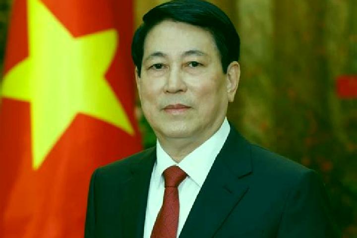 11 escort profiles in Con Cuong, Vietnam. Browse companions, services, rates and book online. Incall and outcall available.