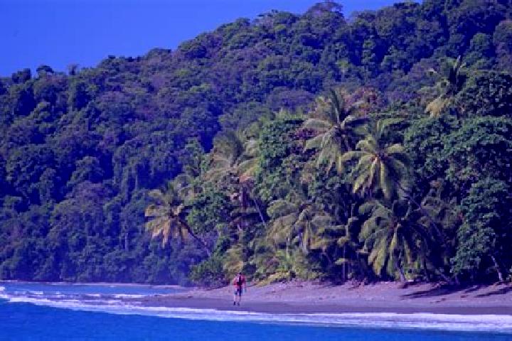 11 escort profiles in El Corcovado, Mexico. Browse companions, services, rates and book online. Incall and outcall available.