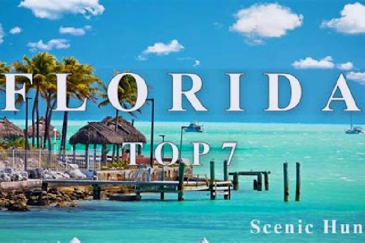 11 escort profiles in Florida, Puerto Rico. Browse companions, services, rates and book online. Incall and outcall available.