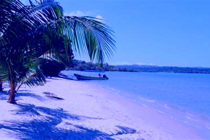 11 escort profiles in Guanagazapa, Guatemala. Browse companions, services, rates and book online. Incall and outcall available.