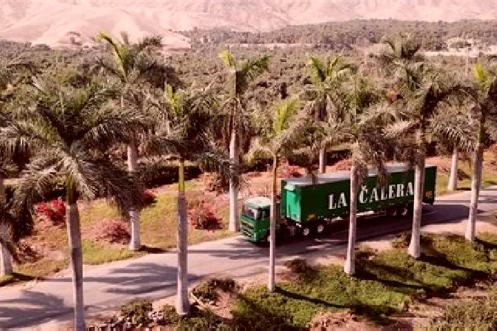 11 escort profiles in Hacienda La Calera, Chile. Browse companions, services, rates and book online. Incall and outcall available.