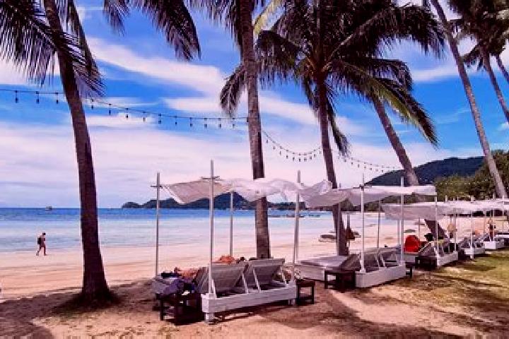 11 escort profiles in Koh Tao, Thailand. Browse companions, services, rates and book online. Incall and outcall available.