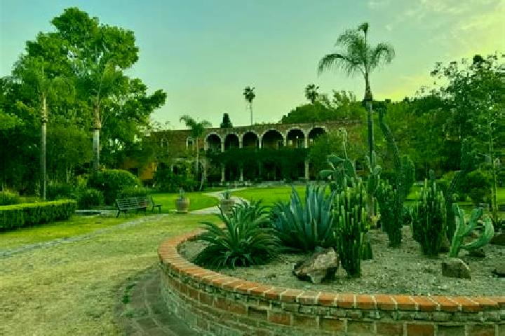 11 escort profiles in La Estancita, Mexico. Browse companions, services, rates and book online. Incall and outcall available.
