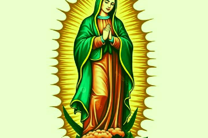11 escort profiles in La Guadalupana, Mexico. Browse companions, services, rates and book online. Incall and outcall available.