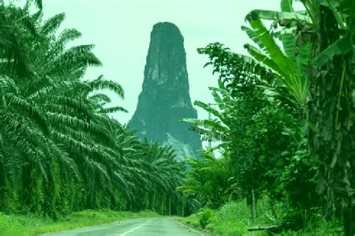 11 escort profiles in Monte Cafe, Sao Tome and Principe. Browse companions, services, rates and book online. Incall and outcall available.