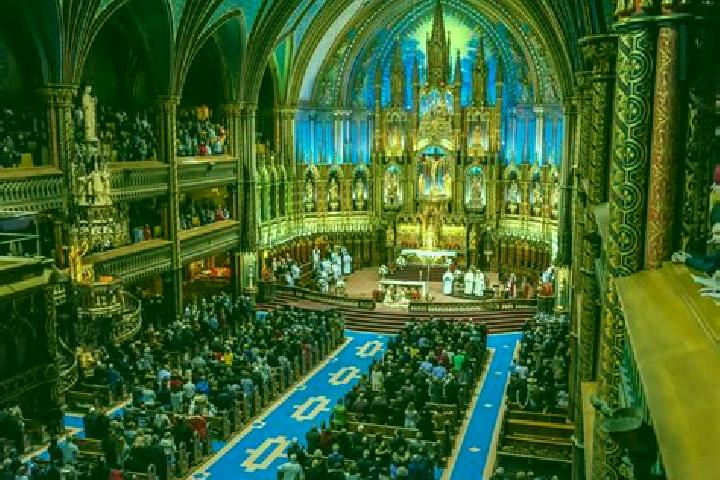 11 escort profiles in Notre-Dame-des-Erables, Canada. Browse companions, services, rates and book online. Incall and outcall available.