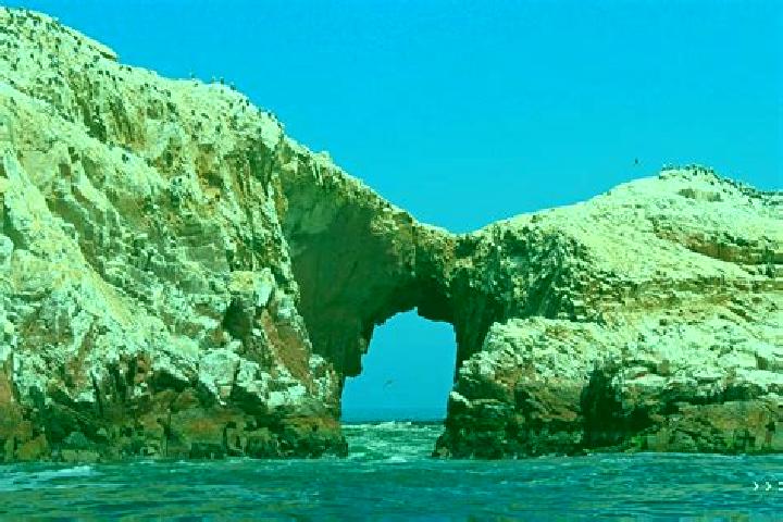 11 escort profiles in Paracas, Peru. Browse companions, services, rates and book online. Incall and outcall available.