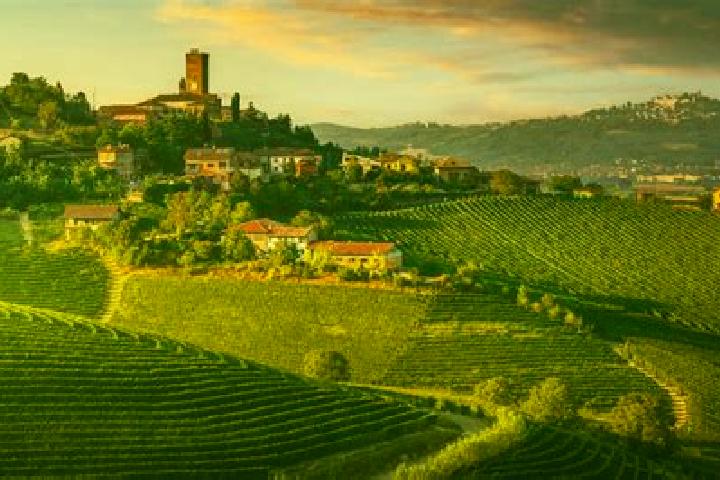 11 escort profiles in San Mango Piemonte, Italy. Browse companions, services, rates and book online. Incall and outcall available.