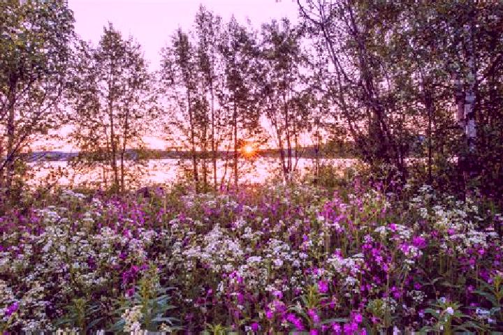 11 escort profiles in Sandhult, Sweden. Browse companions, services, rates and book online. Incall and outcall available.